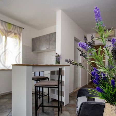 Apartments Ina&Ika Rovinj Bagian luar foto