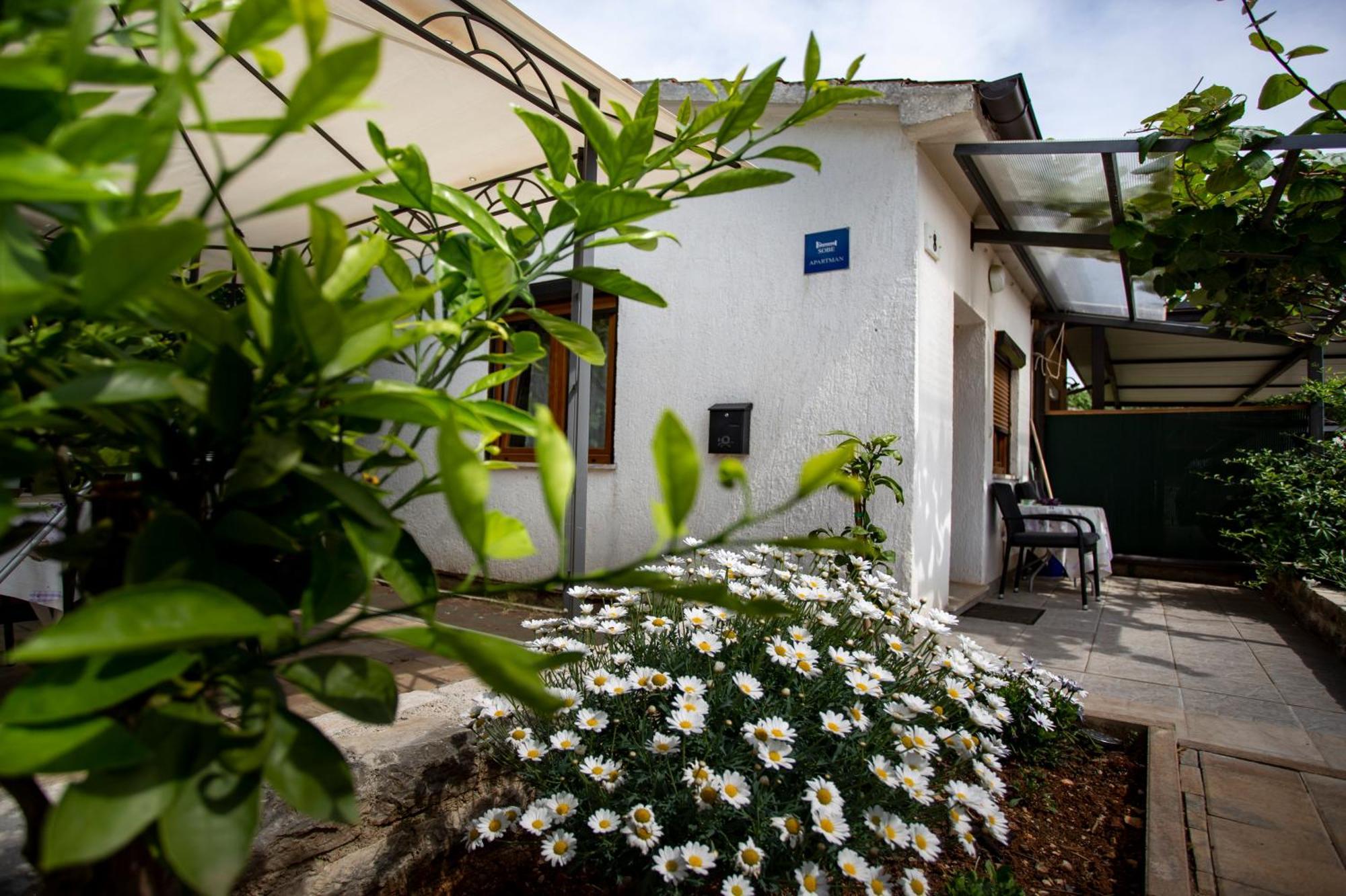 Apartments Ina&Ika Rovinj Bagian luar foto